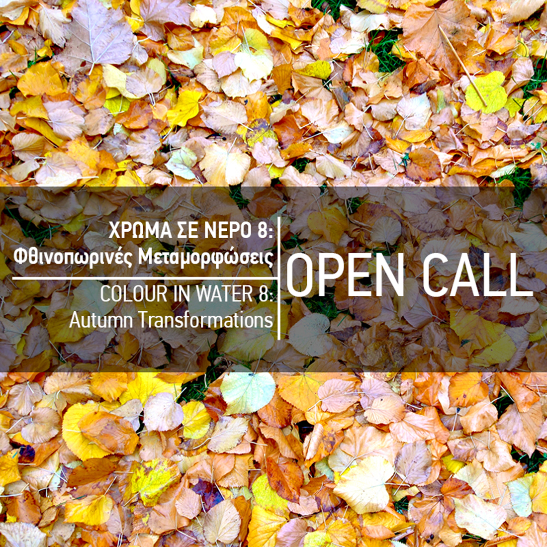 Read more about the article Open Call for artists | Color in the water: Autumn Transformations