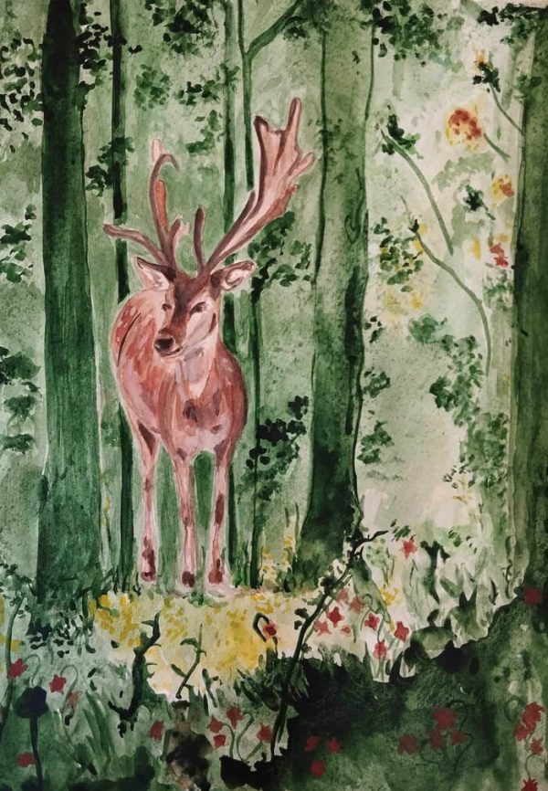 Deer in the Forest